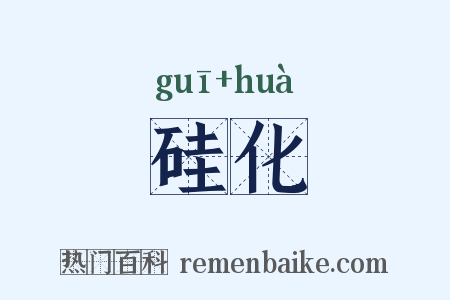 硅化是什么意思的图片